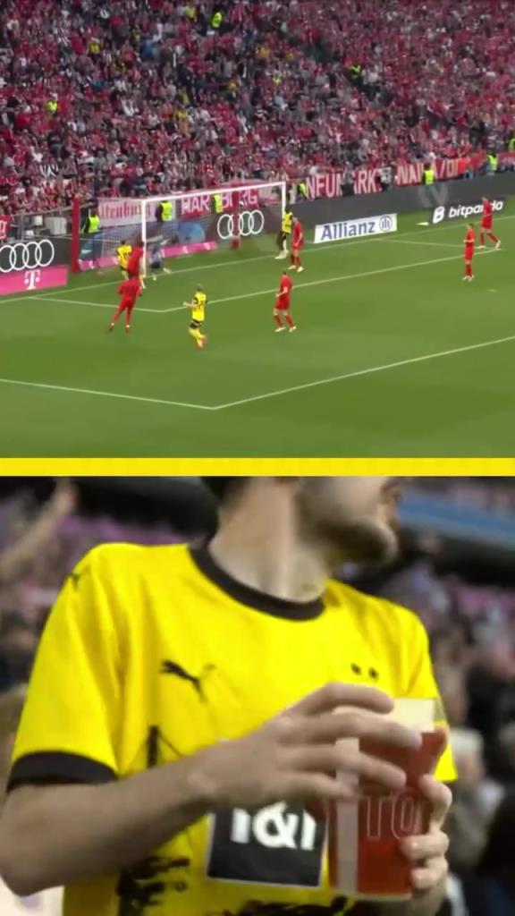 勇者無懼！這是真多特球迷！在拜仁球迷區一個人肆意慶祝！